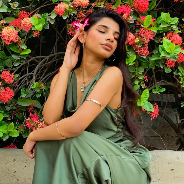 Olive Apricus - Image 2