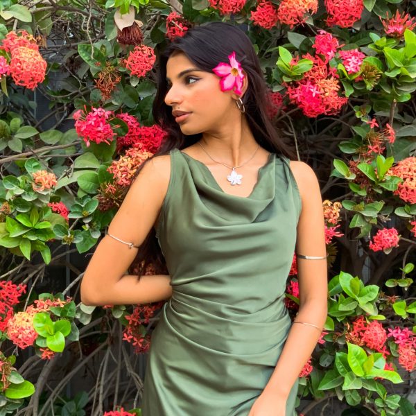 Olive Apricus